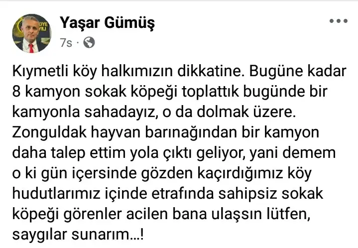 8 kamyon köpek toplandı” paylaşımı tepki çekti: “Bunlar can, çöp değil!”