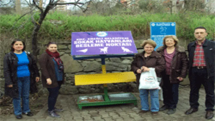 SOKAK HAYVANLARINA YENİ BESLENME ÜNİTELERİ