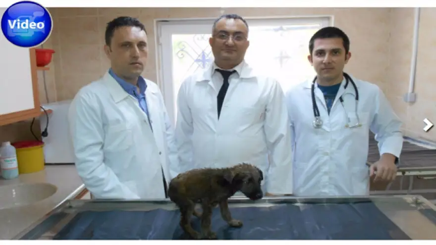 Zifti görenler gözlerine inanamadı
