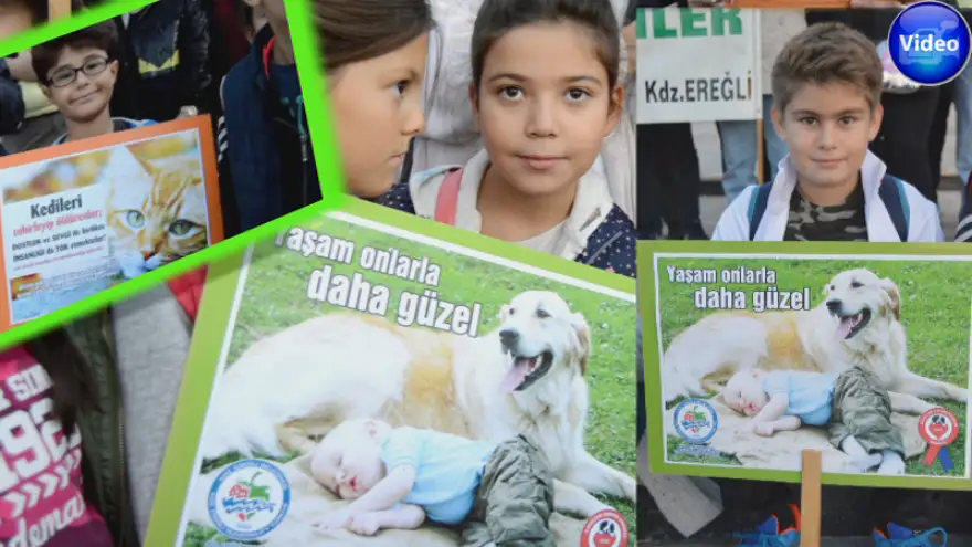 Alcan: "Onları sevelim ve koruyalım"