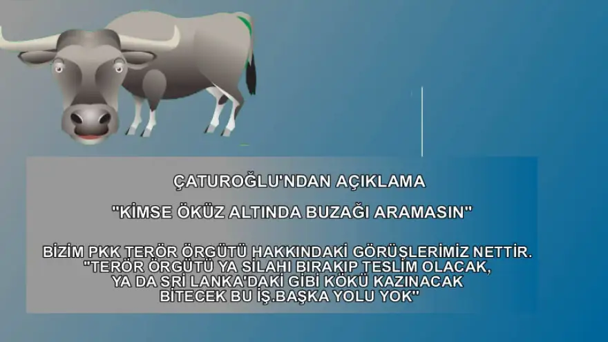 Çaturoğlu: "Kimse öküz altında buzağı aramasın"