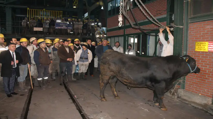 4 Kartiyede yeni üretim panoları açıldı