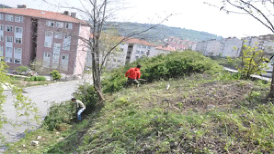 YABANİ BİTKİ TEMİZLİK ÇALIŞMALARI DEVAM EDİYOR
