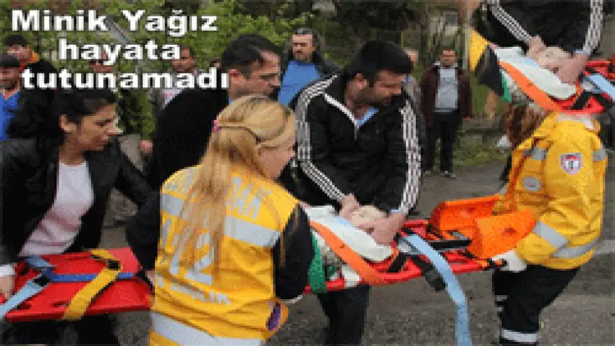 MİNİK YAĞIZ HAYATA TUTUNAMADI