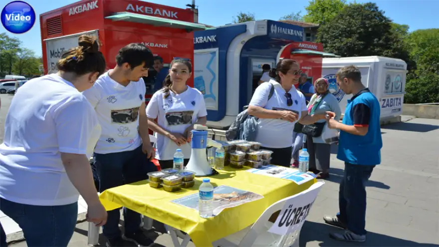 Farkındalık yaratmak için dağıttılar...