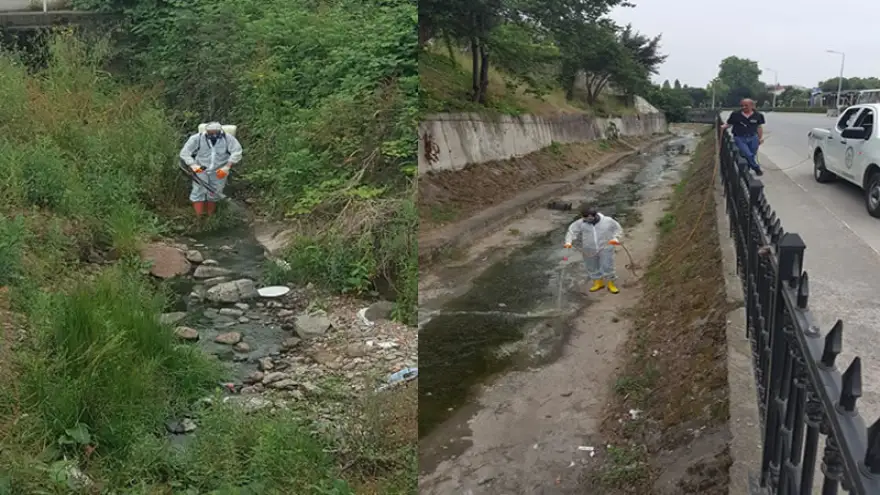 Dere yatakları ilaçlanıyor..