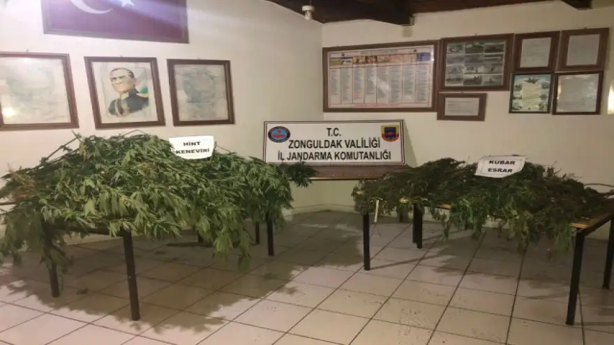 Ereğli'de, Jandarma'dan uyuşturucu operasyonu