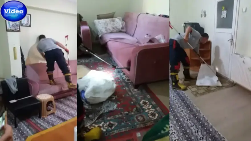 İtfaiyeden yılan yakalama operasyonu…