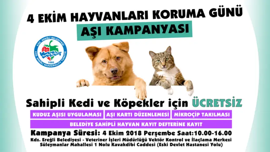 Belediyeden kedi ve köpekler için aşı daveti