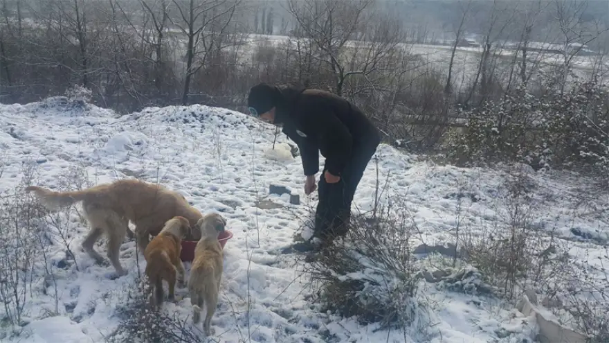 Sokak hayvanlarını unutmadılar…