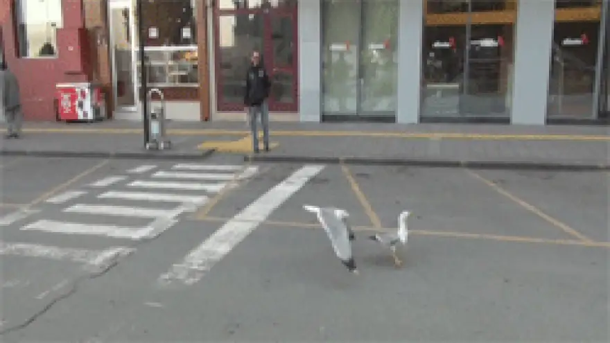 KAVGA EDEN MARTILARI VATANDAŞ AYIRDI