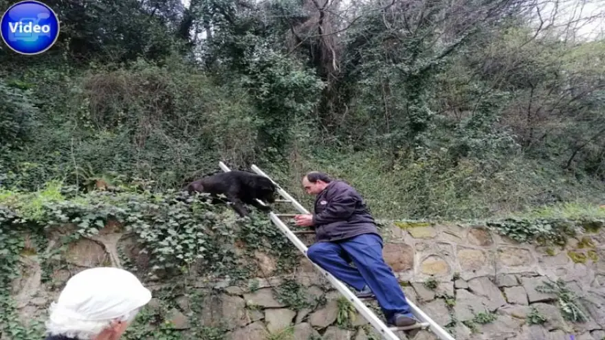 Ormanlık alanda mahsur kaldı…
