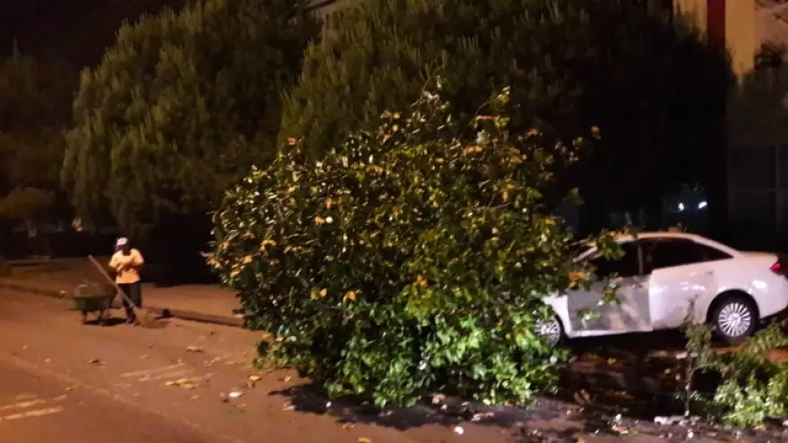 Ağacı devirdi, otomobili pert etti…