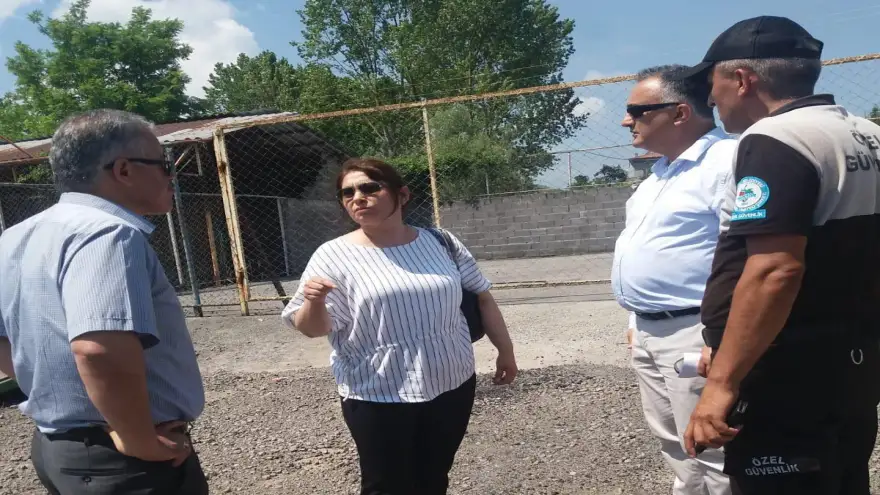 Kurban Pazarı Delihakkı'ya kurulacak...