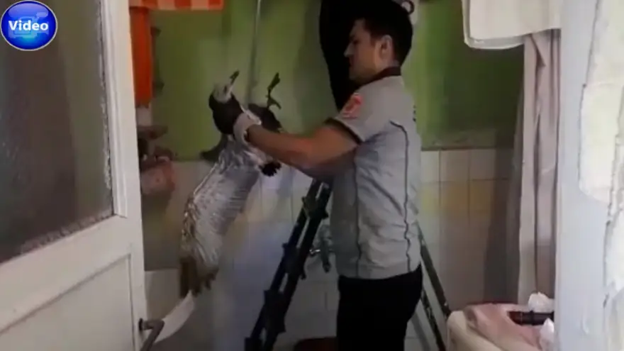 Havalandırma boşluğuna düşen martı kurtarıldı