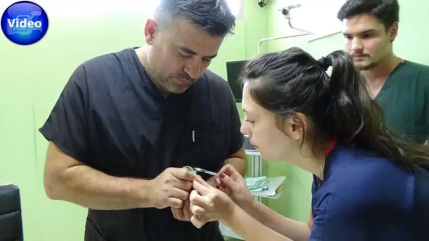 Sele kapıldı, ayağı kırıldı