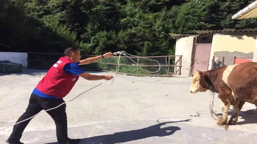 Kurbanlık hayvan yakalama timi kuruldu