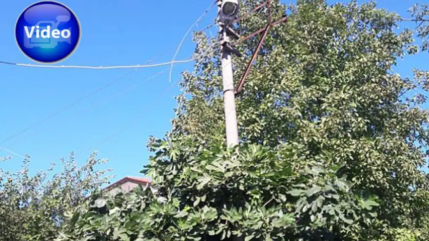 Ağaç dalları yangına sebep oldu…
