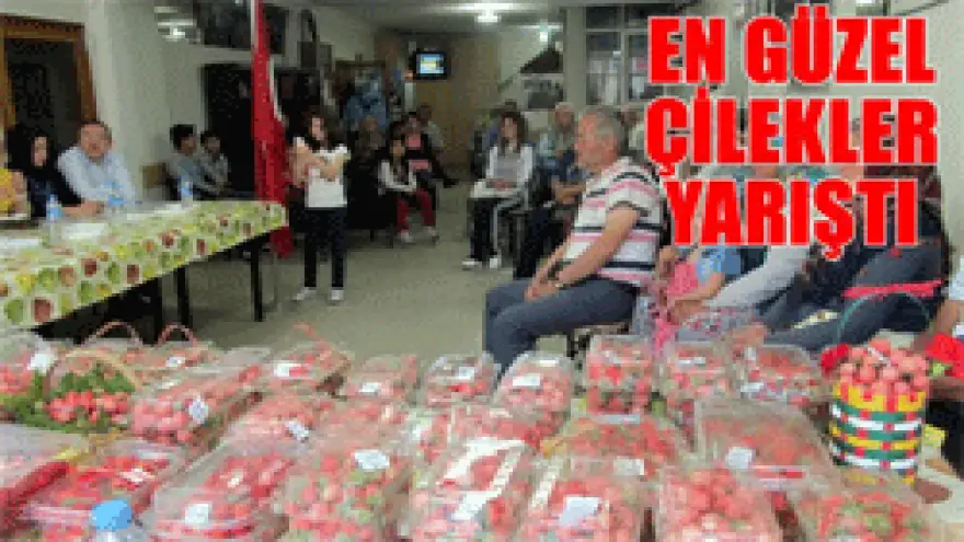 44 ÜRETİCİ YARIŞTI