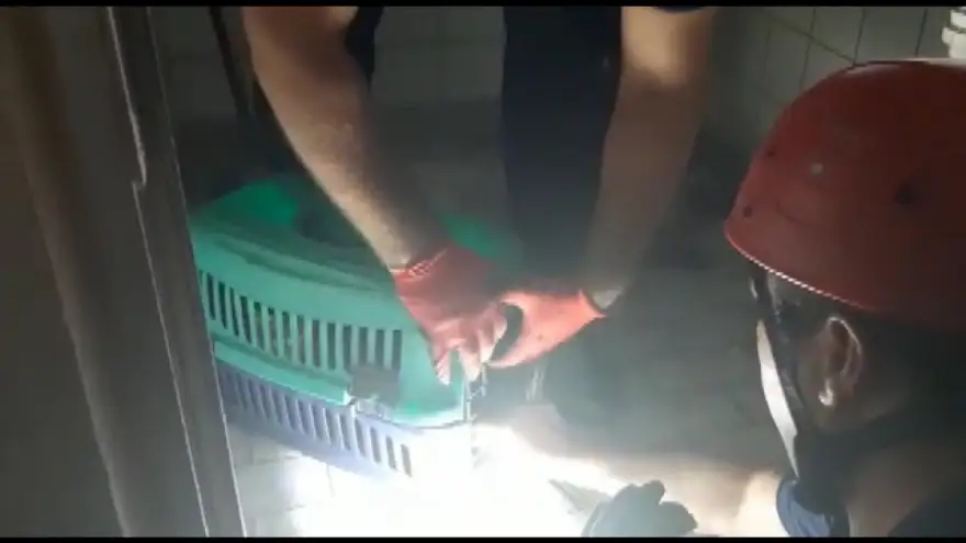 Su giderine sıkışan kedi kurtarıldı