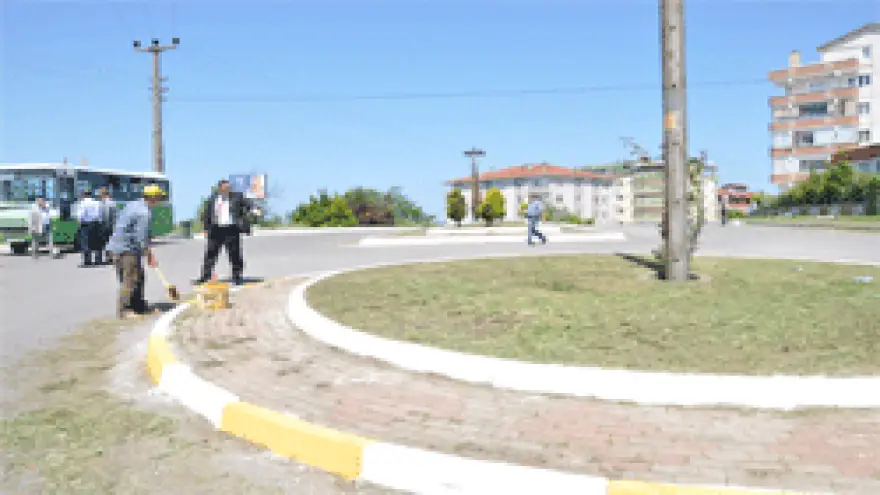 ALAPLI YABANİ OTLARDAN TEMİZLENİYOR