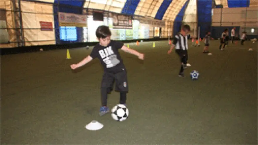 YAVRU KARTALLAR SAHAYA İNDİ