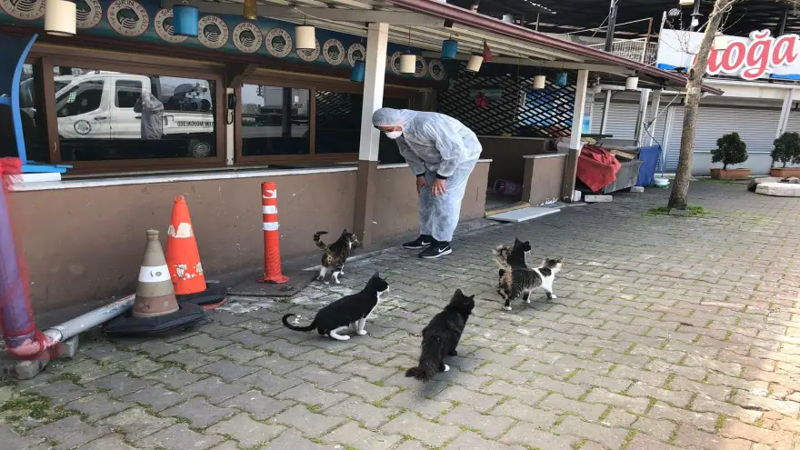 Sokak hayvanları unutulmadı