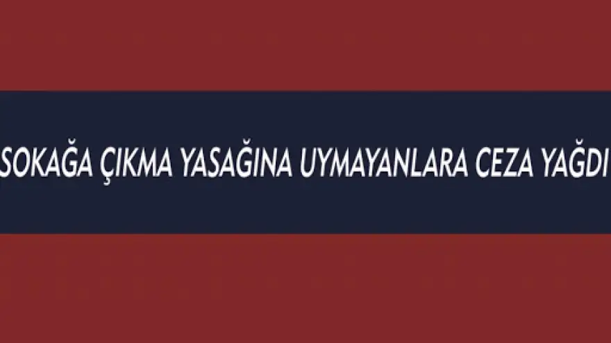 Ereğli'de 35 Kişi'ye ceza işlem uygulandı