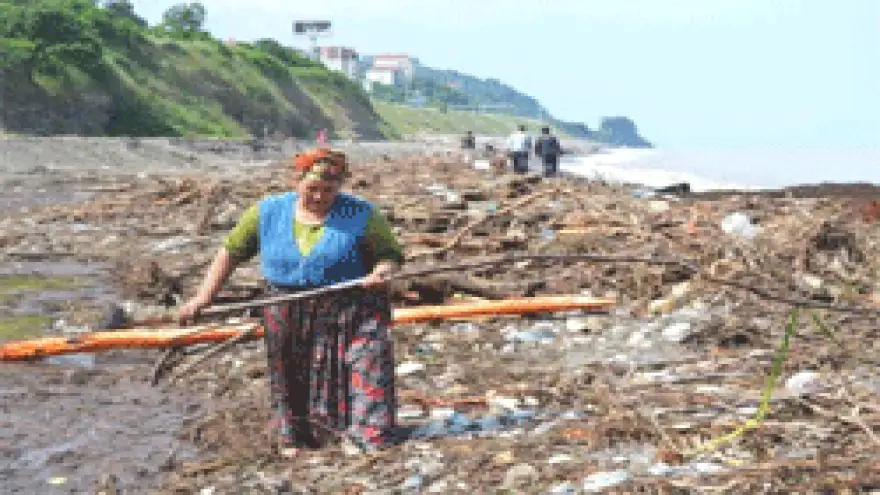 TOMRUKLAR VE AĞAÇLAR KIŞLIK YAKACAKLARI OLDU