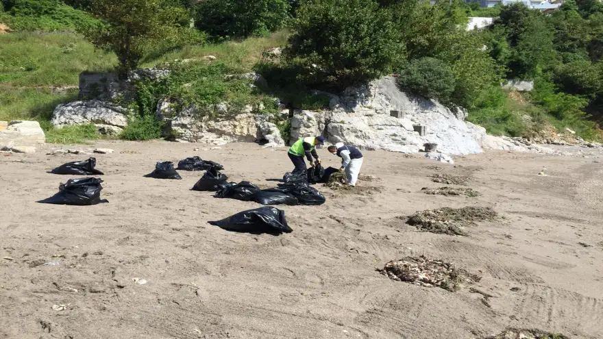 Asıl mesele, kirliliğin kaynağına inebilmekte!
