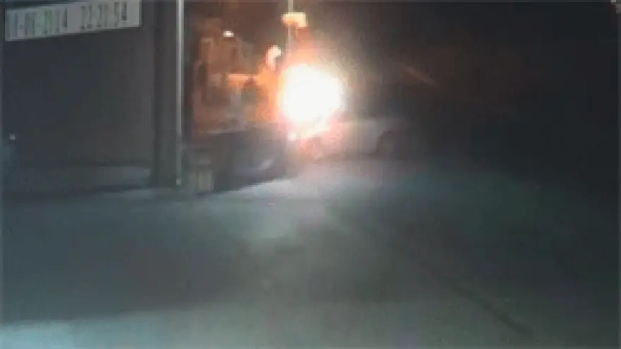 BENZİN İSTASYONUNA DALDI