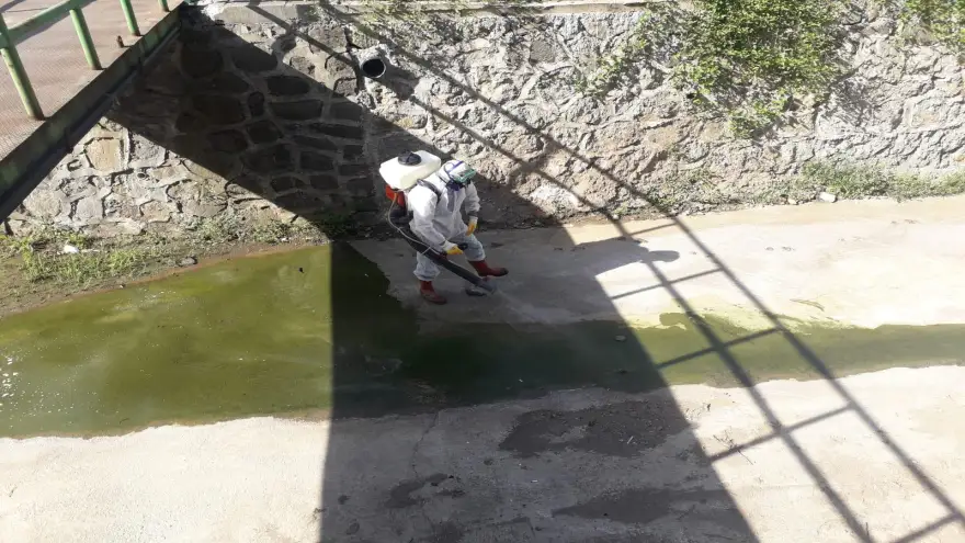 Ereğli belediyesi sivrisineklere karşı ilaçlama yapıyor