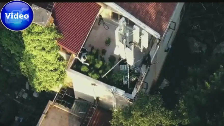 Zonguldak Polisi zehir tacirlerine göz açtırmıyor