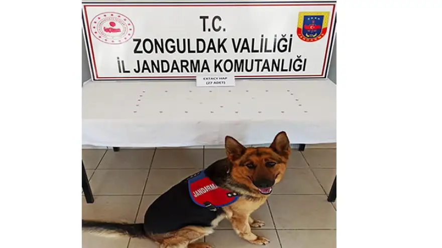 Uyuşturucu ile yakalanan kişi gözaltına alındı