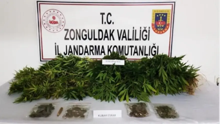 Alaplı'da narkotik operasyonu