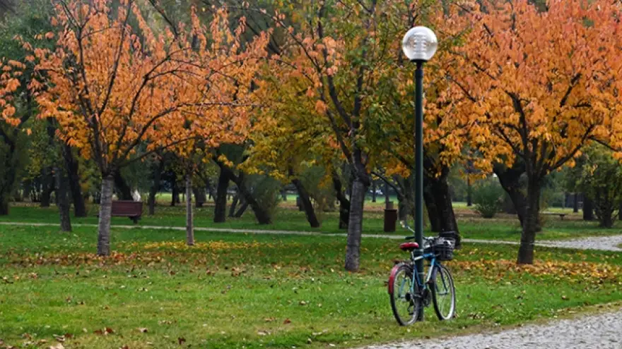 Yeni haftada sonbahar kendini gösterecek