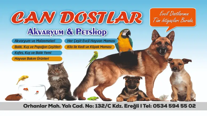 Evcil dostunuz tüm ihtiyaçları CAN DOSTLAR AKVARYUM ve PETSHOP'ta 