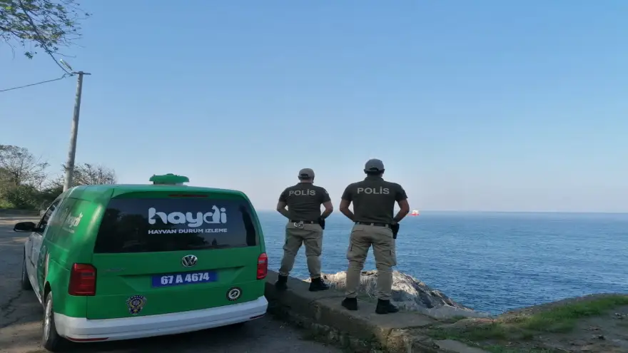 "Haydi Ekibi" Sokak canlarına sahip çıktı