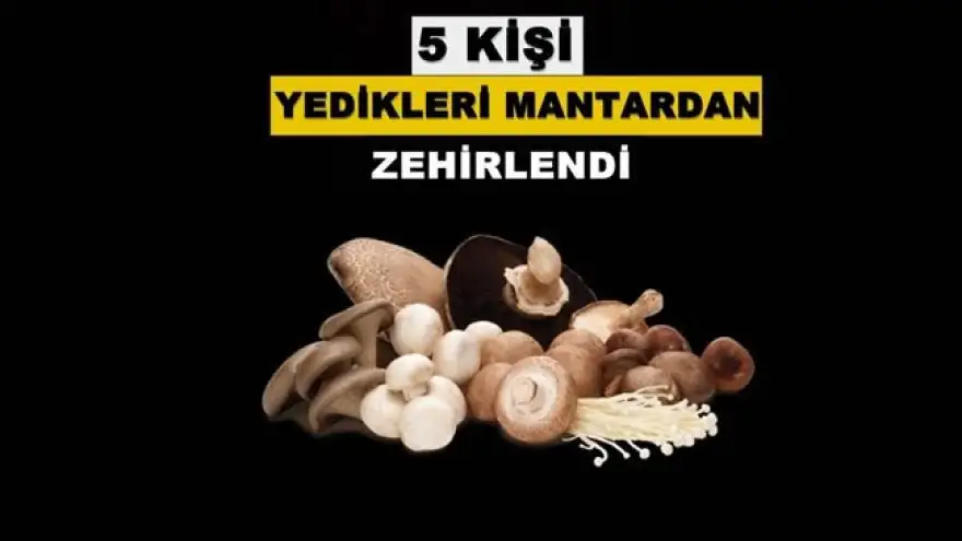 Ereğli'de yedikleri mantardan zehirlendiler