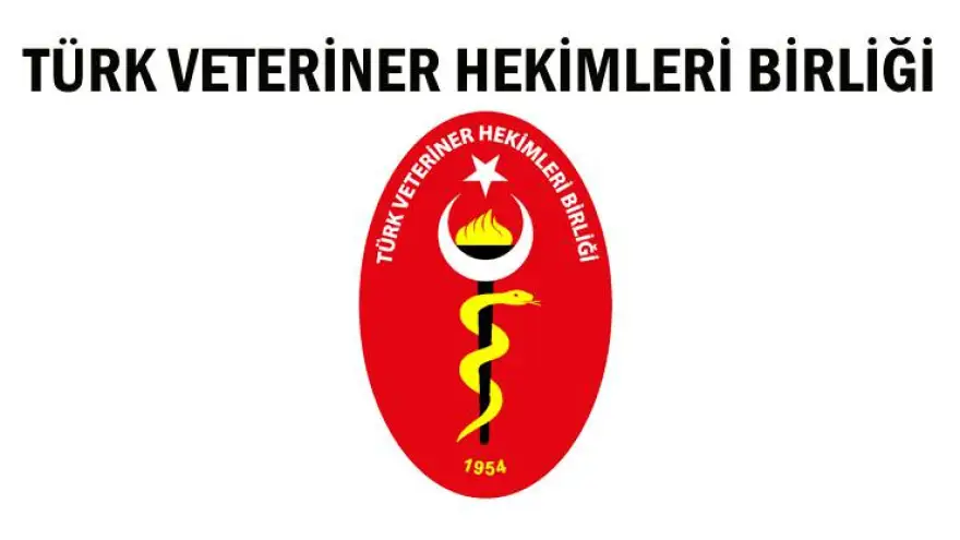 Yasalar öldürmez yaşatır...