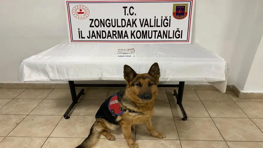 Jandarma'dan kubar esrar operasyonu
