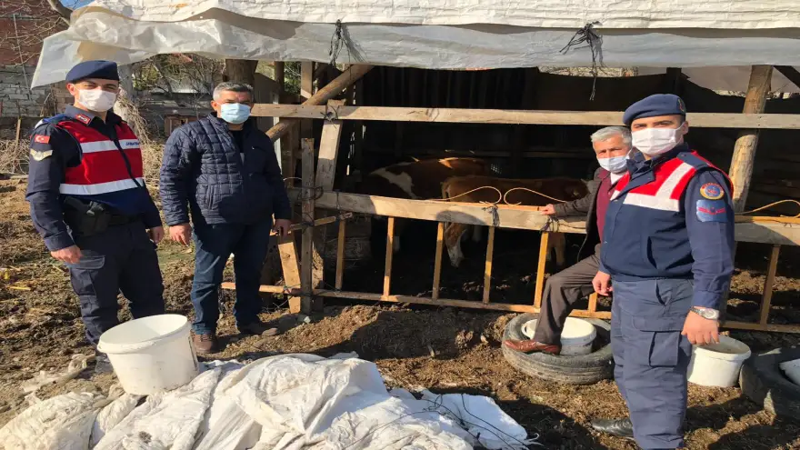 Kayıp olan hayvanlar, drone ile bulundu