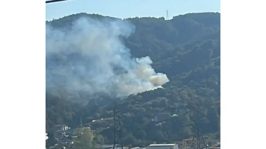 Ereğli Topçalı'da orman yangını..