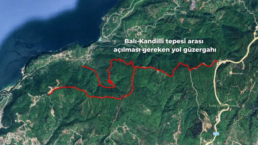 BAŞKAN POSBIYIK: “BALI – KANDİLLİ TEPESİ ARASI ORMAN YOLU MUTLAKA AÇILMALI”