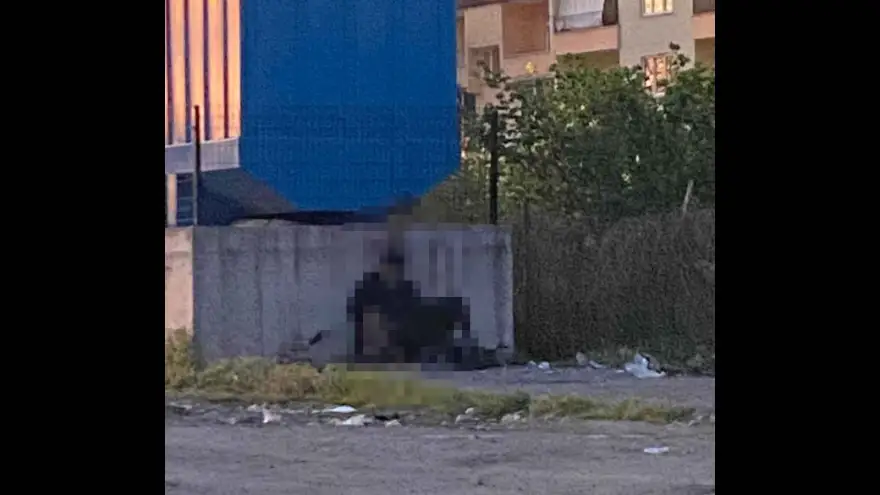 Tepki Çeken Görüntüler Sonrası Jandarma Devrede: Şüpheli Yakalandı..