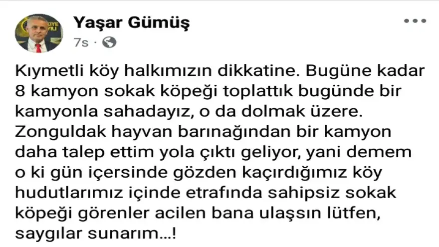 8 kamyon köpek toplandı” paylaşımı tepki çekti: “Bunlar can, çöp değil!”