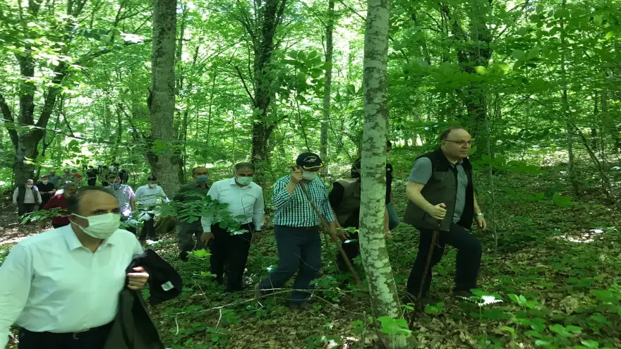 Kayalıdere şelaleleri, turizme kazandırılıyor