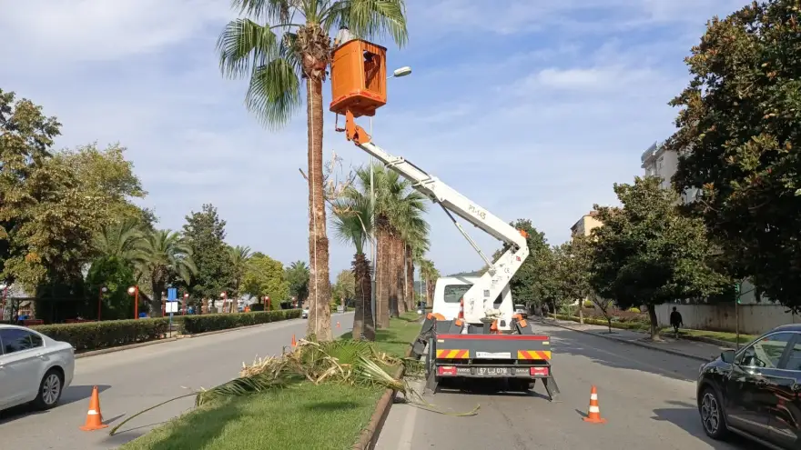 KDZ. EREĞLİ’NİN TROPİKAL DOKUSU BAKIMA ALINDI