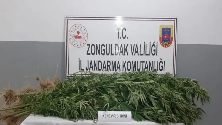 Kenevir Operasyonu: 3 Gözaltı