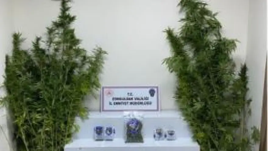 Zonguldak’ta uyuşturucu operasyonu: 60 gözaltı 